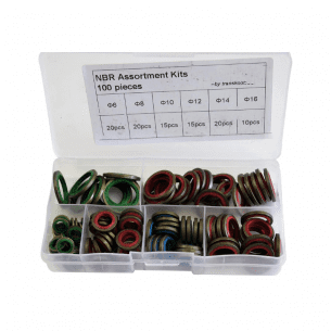 100 PC Dowty Washer Kit